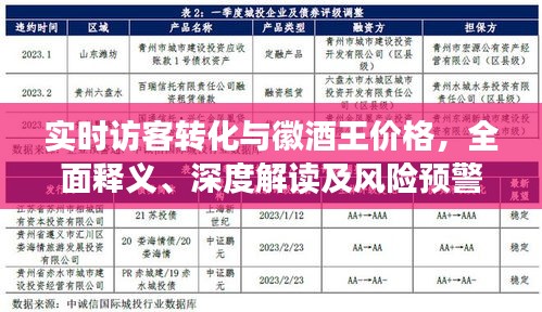 实时访客转化与徽酒王价格,全面释义、深度解读及风险预警