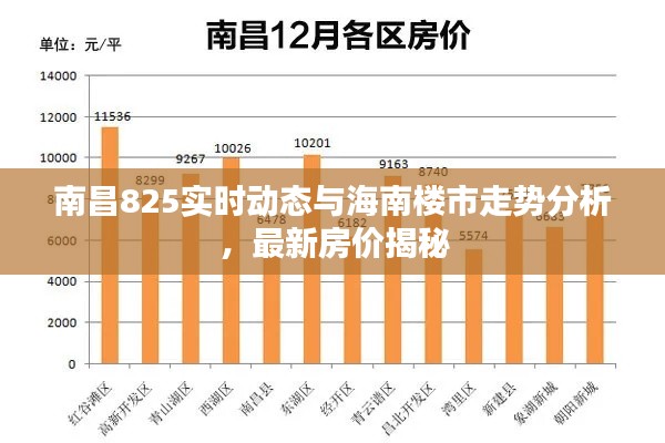 南昌825实时动态与海南楼市走势分析,最新房价揭秘