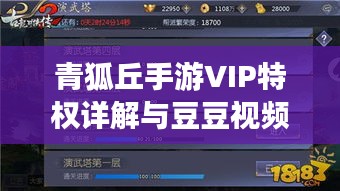 青狐丘手游VIP特权详解与豆豆视频VIP激活码助力登顶攻略