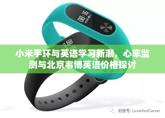 小米手环与英语学习新潮,心率监测与北京韦博英语价格探讨