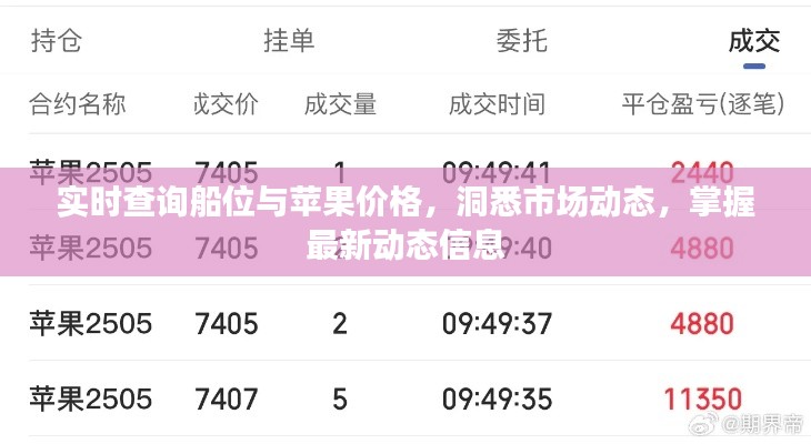 实时查询船位与苹果价格,洞悉市场动态,掌握最新动态信息