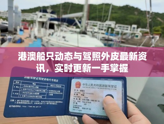 港澳船只动态与驾照外皮最新资讯,实时更新一手掌握
