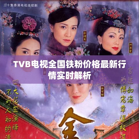 TVB电视全国铁粉价格最新行情实时解析