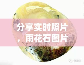 分享实时照片,雨花石图片及价格——美丽的邂逅与价值探讨