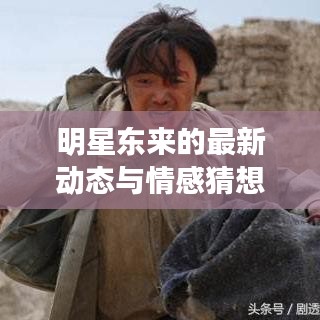 明星东来的最新动态与情感猜想,心动背后揭秘