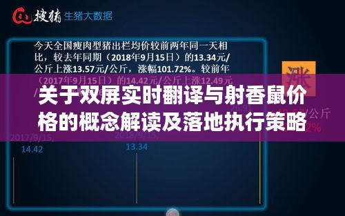 关于双屏实时翻译与射香鼠价格的概念解读及落地执行策略