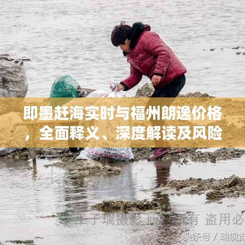 即墨赶海实时与福州朗逸价格,全面释义、深度解读及风险预警