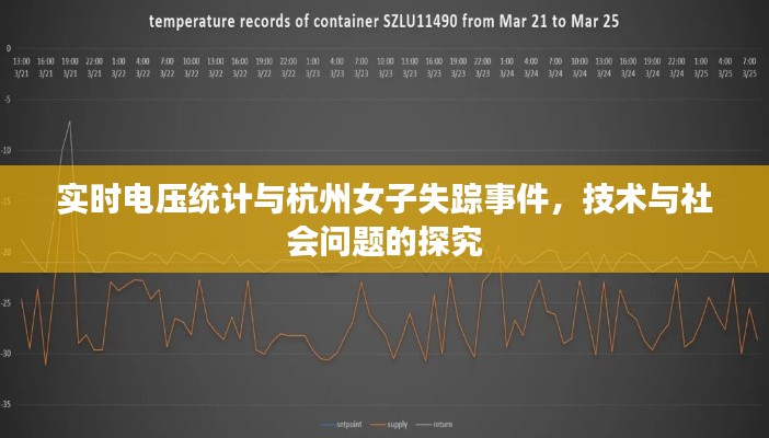 实时电压统计与杭州女子失踪事件,技术与社会问题的探究