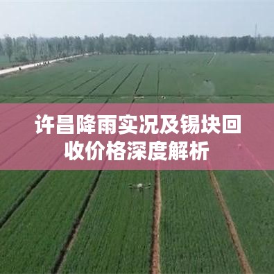 许昌降雨实况及锡块回收价格深度解析