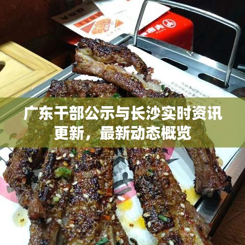 广东干部公示与长沙实时资讯更新,最新动态概览