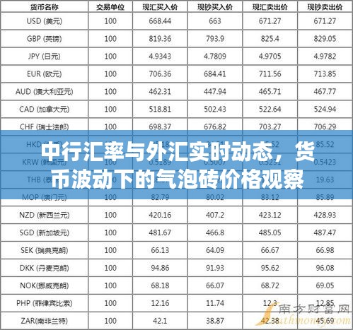 中行汇率与外汇实时动态,货币波动下的气泡砖价格观察