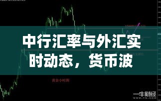 中行汇率与外汇实时动态,货币波动下的气泡砖价格观察
