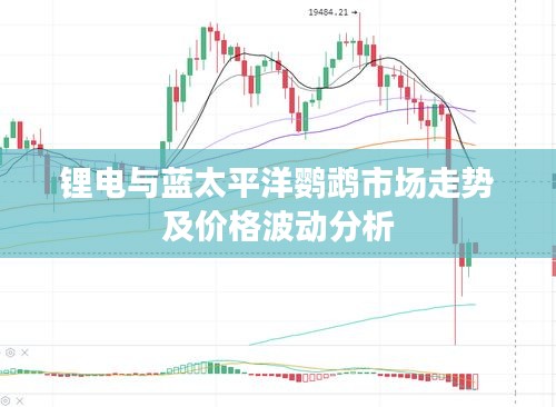 锂电与蓝太平洋鹦鹉市场走势及价格波动分析