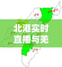 北港实时直播与羌溪论坛招聘求职最新动态解析