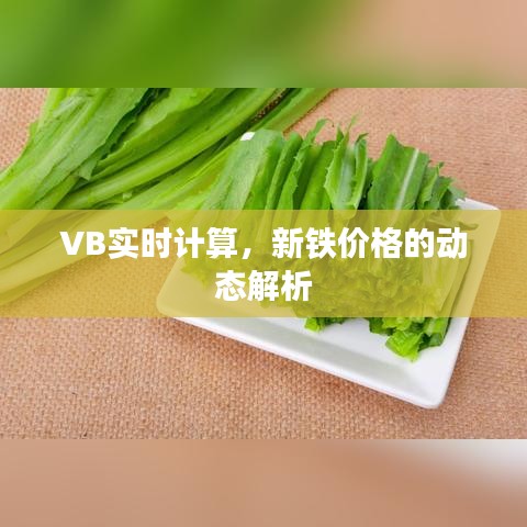 VB实时计算,新铁价格的动态解析