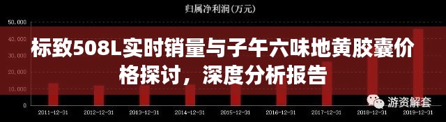 标致508L实时销量与子午六味地黄胶囊价格探讨,深度分析报告