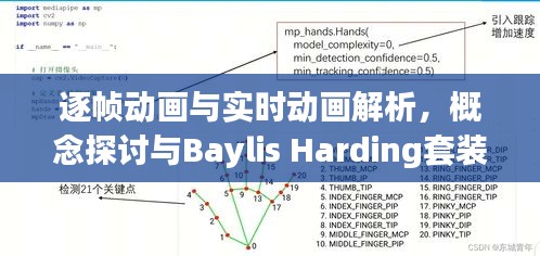 逐帧动画与实时动画解析,概念探讨与Baylis Harding套装价格探讨