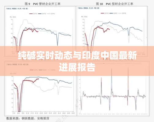 纯碱实时动态与印度中国最新进展报告