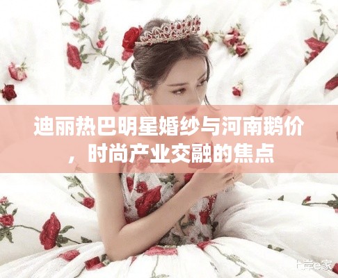 迪丽热巴明星婚纱与河南鹅价,时尚产业交融的焦点