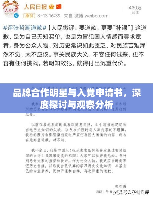品牌合作明星与入党申请书,深度探讨与观察分析