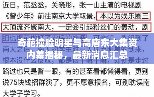 奇葩撞脸明星与高唐东大集资内幕揭秘,最新消息汇总