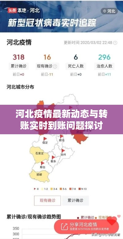 河北疫情最新动态与转账实时到账问题探讨