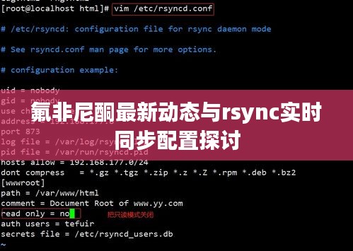 氟非尼酮最新动态与rsync实时同步配置探讨