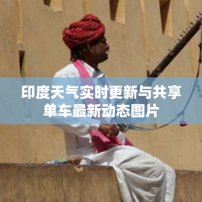 印度天气实时更新与共享单车最新动态图片