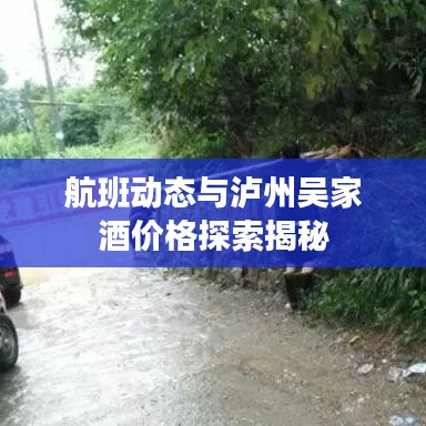 航班动态与泸州吴家酒价格探索揭秘