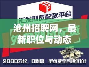 沧州招聘网,最新职位与动态一手掌握