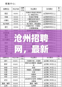 沧州招聘网,最新职位与动态一手掌握