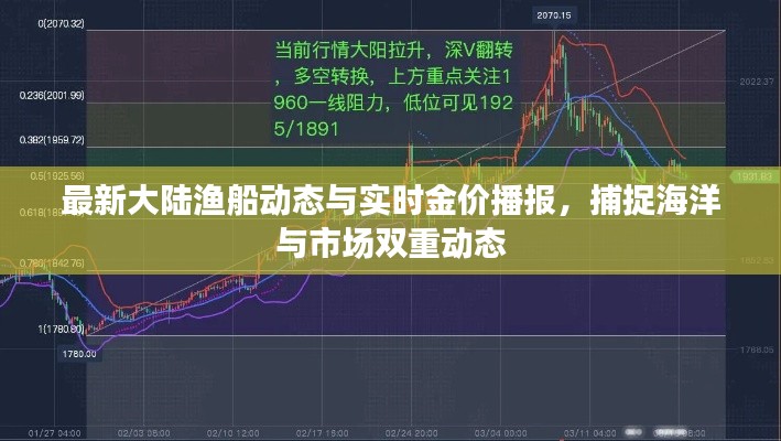 最新大陆渔船动态与实时金价播报,捕捉海洋与市场双重动态