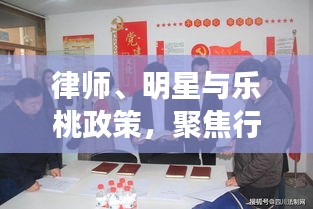 律师、明星与乐桃政策,聚焦行业变革新动态