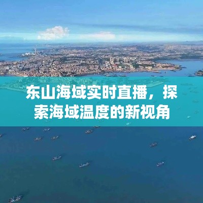 东山海域实时直播,探索海域温度的新视角