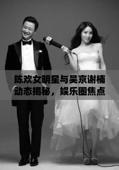 陈欢女明星与吴京谢楠动态揭秘,娱乐圈焦点时刻的闪耀之星