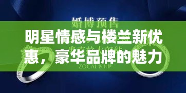 明星情感与楼兰新优惠,豪华品牌的魅力与惊喜揭秘