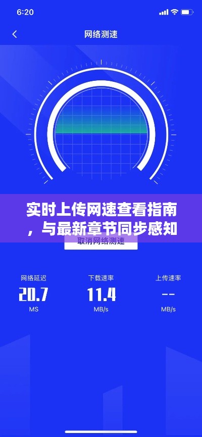 实时上传网速查看指南,与最新章节同步感知你的网络速度