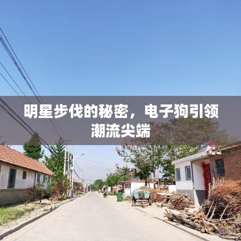 明星步伐的秘密,电子狗引领潮流尖端