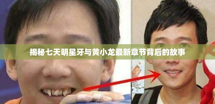 揭秘七天明星牙与黄小龙最新章节背后的故事