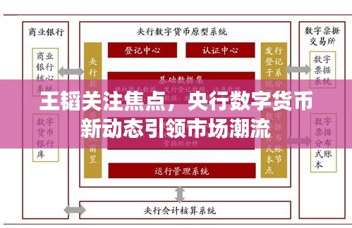 王韬关注焦点，央行数字货币新动态引领市场潮流