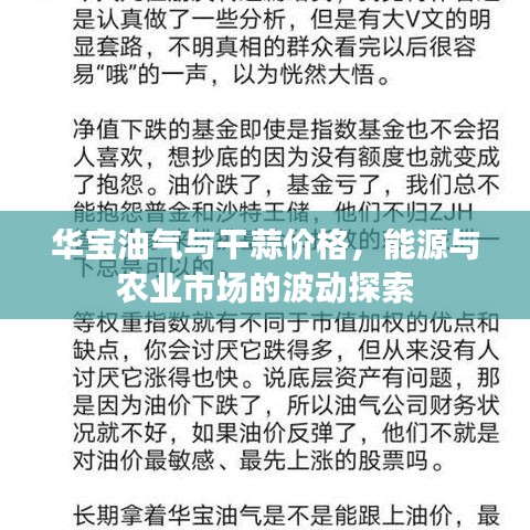 华宝油气与干蒜价格,能源与农业市场的波动探索