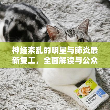 神经紊乱的明星与肺炎最新复工,全面解读与公众警惕