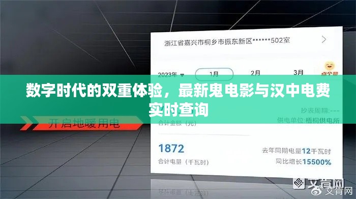 数字时代的双重体验，最新鬼电影与汉中电费实时查询