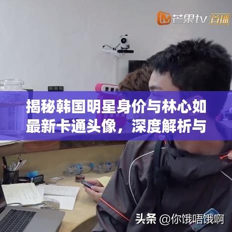揭秘韩国明星身价与林心如最新卡通头像,深度解析与识别防范虚假宣传