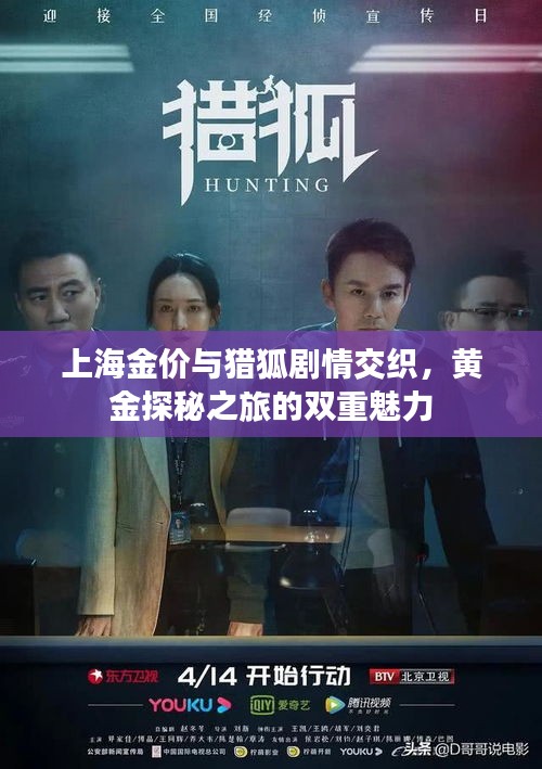 上海金价与猎狐剧情交织,黄金探秘之旅的双重魅力