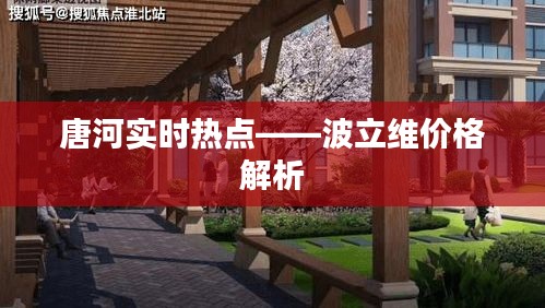 唐河实时热点——波立维价格解析
