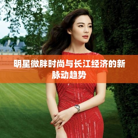 明星微胖时尚与长江经济的新脉动趋势