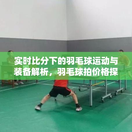 实时比分下的羽毛球运动与装备解析,羽毛球拍价格探讨