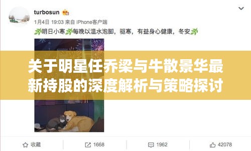 关于明星任乔梁与牛散景华最新持股的深度解析与策略探讨