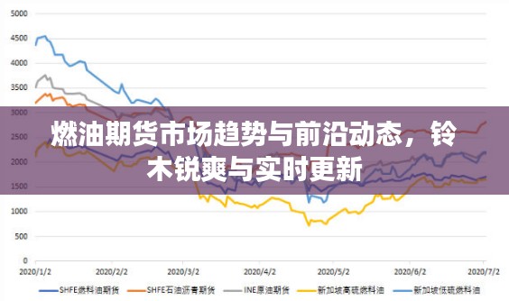 燃油期货市场趋势与前沿动态,铃木锐爽与实时更新